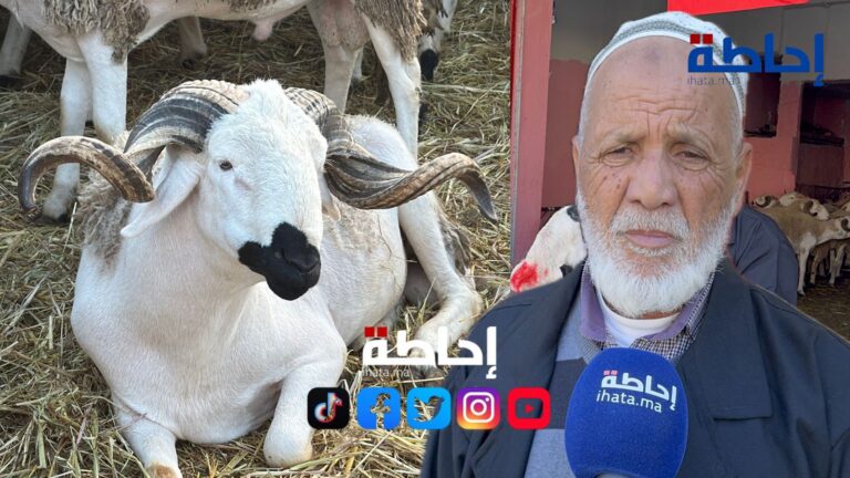 أسعار الأضاحي بالدار البيضاء تتراوح بين 70 و75 درهما للكيلوغرام | إحاطة