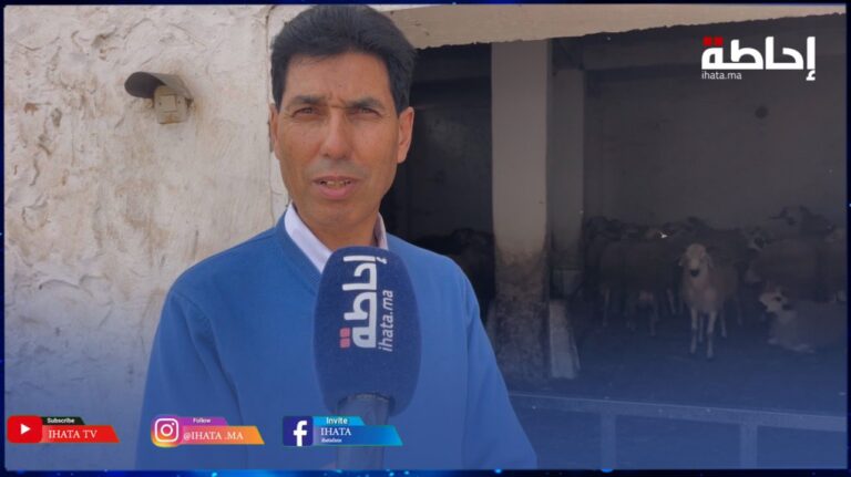 رشيد نصري عيد الأضحى: القطيع متوفر ببني مسكين والأسعار تختلف حسب الجودة | إحاطة
